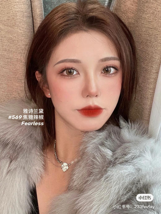 雅诗兰黛 倾慕哑光-569 商品图1