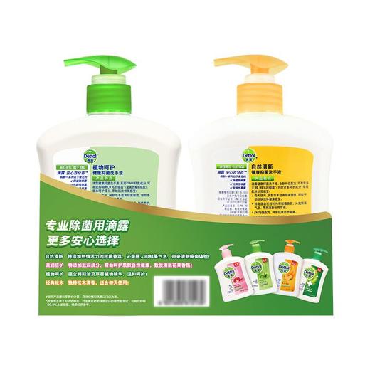 滴露健康抑菌洗手液植物+自然450g+450g 商品图3