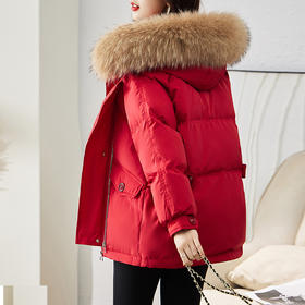 连帽新款短款小个子面包服，时尚宽松休闲保暖羽绒外套潮HR-GRS2183-1