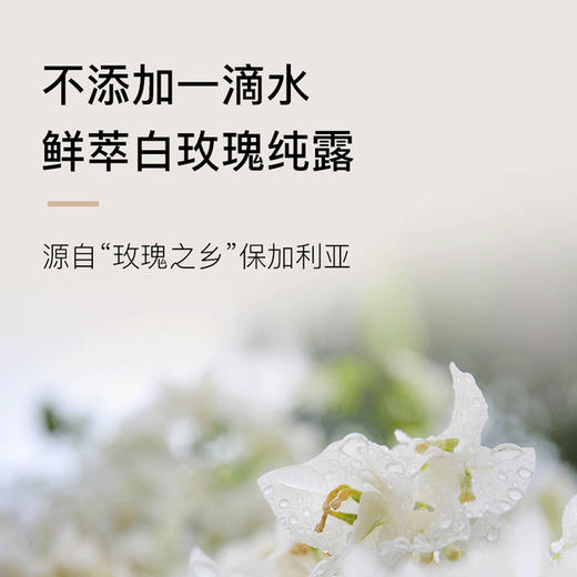 【积分兑换】植想说白玫瑰密集补水面膜1片装，密集补水，积分兑换商品不退不换，可与喜欢的植想说产品一起下单 商品图2