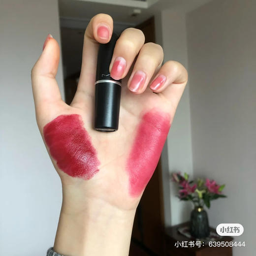 Mac 207 深红宝石 商品图1
