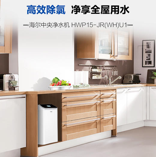 海尔（Haier）中央净水机 HWP15-JR(WH)U1 商品图1