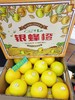 银蜂橙一箱（拼团） 商品缩略图0