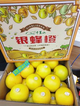 银蜂橙一箱（拼团）