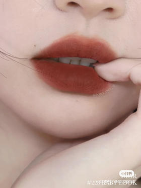 Dior-228哑光