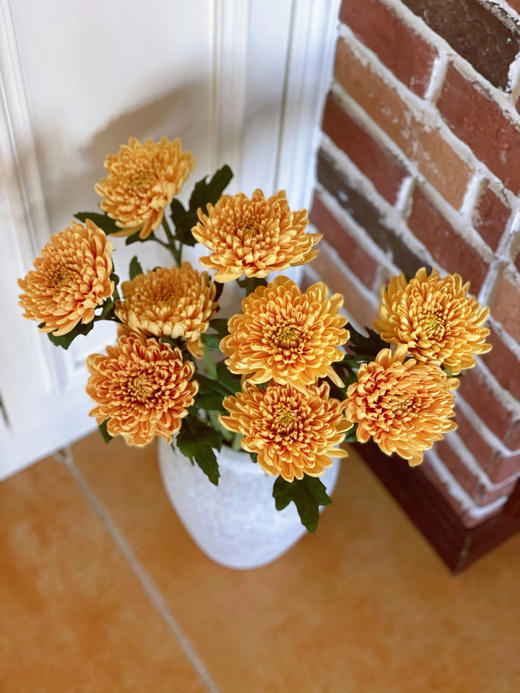 安娜菊 商品图0