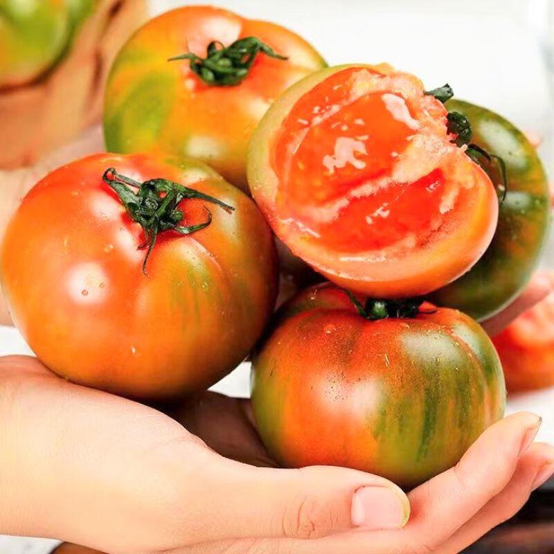 铁树番茄 约450g/份