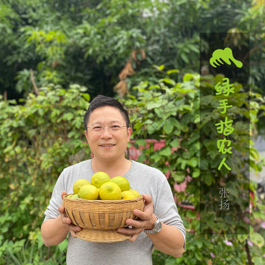 生态黄柠檬 | 合作生产*Eco-yellow lemon | Coproduction 商品图1