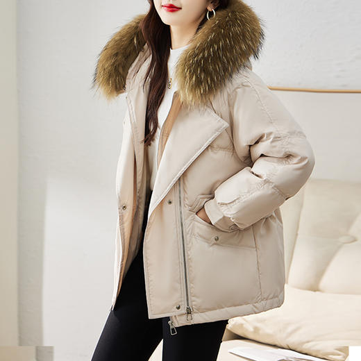 连帽新款短款小个子面包服，时尚宽松休闲保暖羽绒外套潮HR-GRS2183-1 商品图1