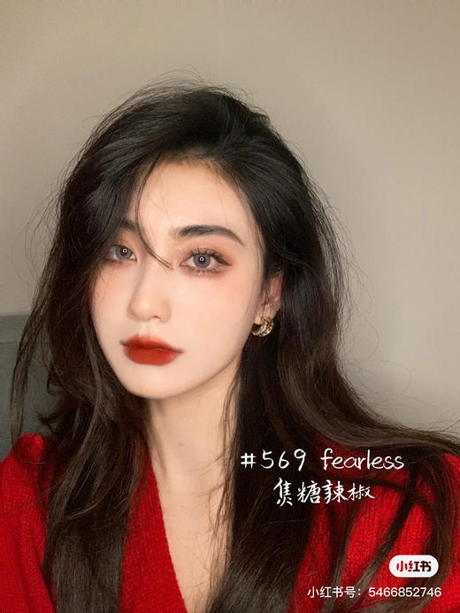 雅诗兰黛 倾慕哑光-569 商品图4