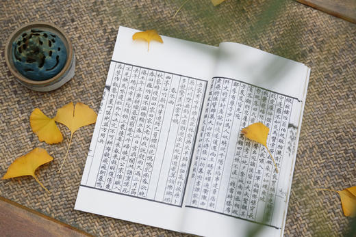 《渔洋山人精华录》 商品图6