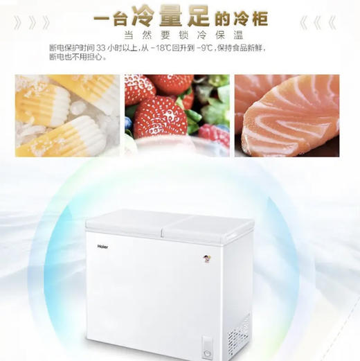 海尔（Haier）冷柜 FCD-210XDB 商品图4
