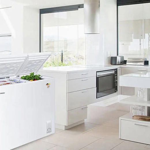 海尔（Haier）冷柜 FCD-210XDB 商品图3