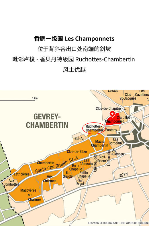 麒龙酒庄热夫雷香贝丹香鹏一级园红葡萄酒 2019 Domaine Jean-Michel Guillon Gevrey-Chambertin 1er Cru "Les Champonnets" 商品图1