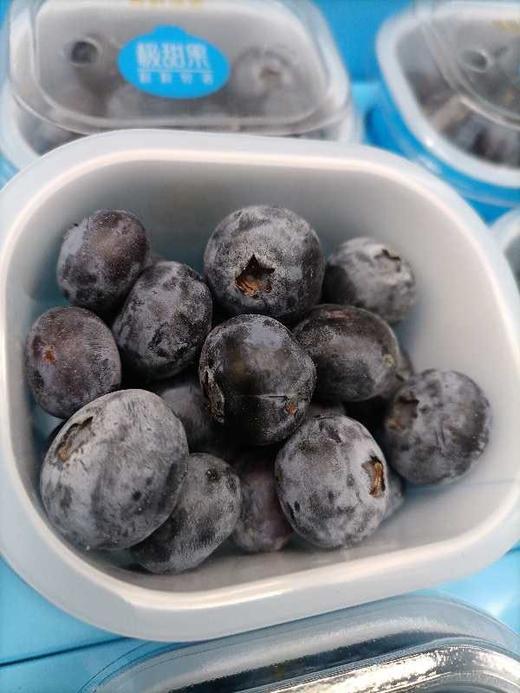 极度=甜杯装蓝莓9杯.件 商品图0