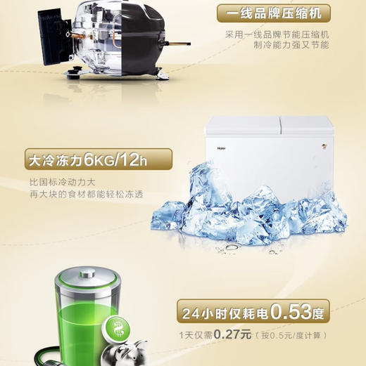 海尔（Haier）冷柜 FCD-210XDB 商品图5