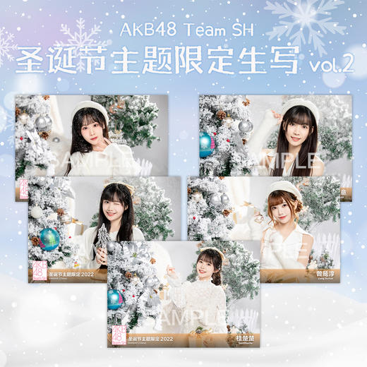 AKB48 Team SH 2022圣诞节主题生写vol.2 商品图0