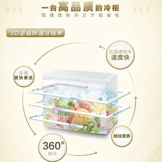 海尔（Haier）冷柜 FCD-210XDB 商品图2