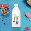 伊利1.5L桶装鲜牛奶 商品缩略图0