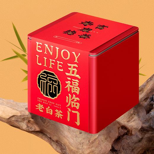 佰儒 福鼎老白茶5年陈茶叶寿眉250g*2罐 商品图1