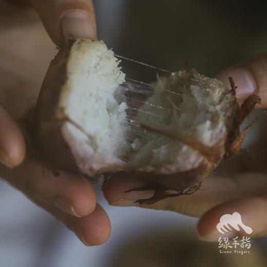 有机红嘴毛芋头 | 合作生产 * Organic Taro | Coproduction 商品图12