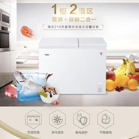 海尔（Haier）冷柜 FCD-210XDB