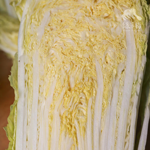生态娃娃菜 | 合作生产*ecological Baby cabbage| Coproduction 商品图2