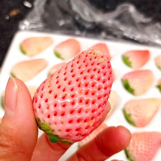粉玉草莓300g/盒 商品图0