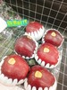 潘苹果一盒（拼团） 商品缩略图0