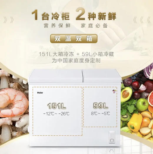 海尔（Haier）冷柜 FCD-210XDB 商品图1