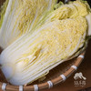 生态娃娃菜 | 合作生产*ecological Baby cabbage| Coproduction 商品缩略图3