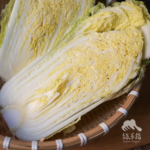 生态娃娃菜 | 合作生产*ecological Baby cabbage| Coproduction 商品图3