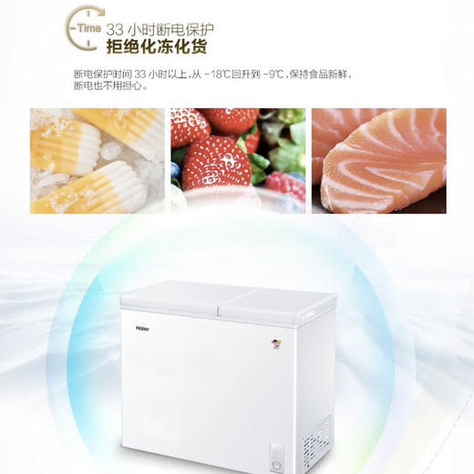 海尔（Haier）冷柜 FCD-210XDB 商品图6