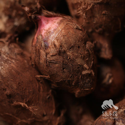 有机红嘴毛芋头 | 合作生产 * Organic Taro | Coproduction 商品图4