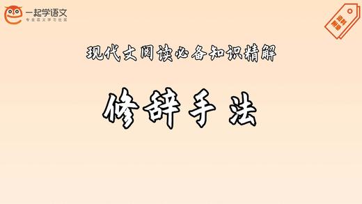 现代文阅读必备知识精解：修辞手法 商品图0