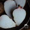 有机红嘴毛芋头 | 合作生产 * Organic Taro | Coproduction 商品缩略图5