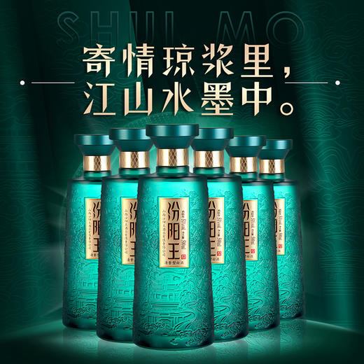 山西名酒 汾阳王53度水墨江山 500ml*6瓶整箱清香型白酒 商品图0