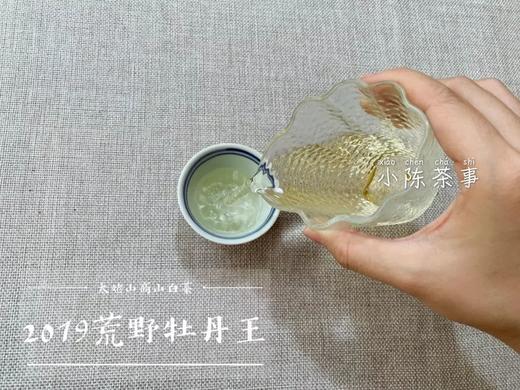 【60克分享装】2019荒野牡丹王，独坐幽篁里的雅淡疏狂！ 商品图7