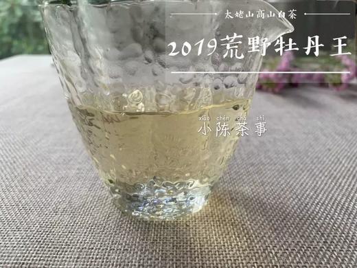 【60克分享装】2019荒野牡丹王，独坐幽篁里的雅淡疏狂！ 商品图4