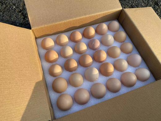 黄湖龙头山土鸡蛋  60枚/盒 家庭分享装 商品图2