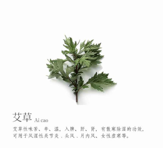 隐月九条 宝气.暖宫温通贴 5片/盒 商品图3