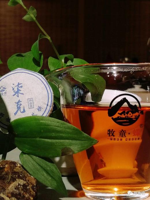 【牧童蝉柒克老白茶小饼】30粒装，又翻出一箱，仅剩50份啦，卖完再无！ 商品图2
