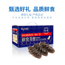 渔鼎天辽刺参（鲜食）500g/包