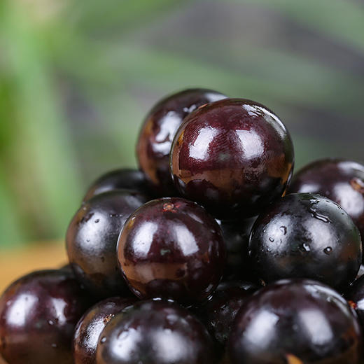 新鲜嘉宝果树葡萄孕妇水果稀有水果  柔软多汁  果肉透明 老少皆宜味道清香 色泽亮丽  顺丰包邮发出 商品图2