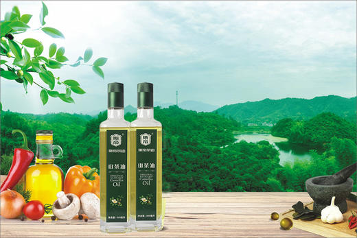 浙江斯帝山茶油500ml*2瓶礼盒装 商品图1