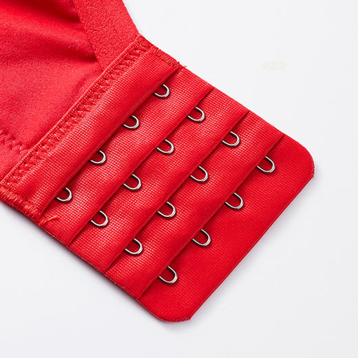 都市丽人内衣自然舒适中厚蕾丝四排扣树脂胶圈3/4杯常规文胸LB211A 商品图4