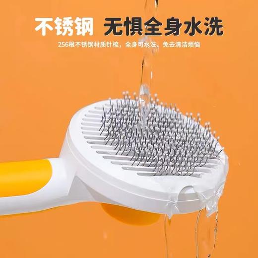 蛮果宠物 商品图13