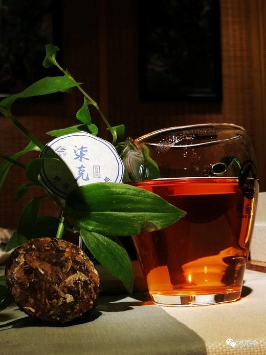 【牧童蝉柒克老白茶小饼】30粒装，又翻出一箱，仅剩50份啦，卖完再无！ 商品图8