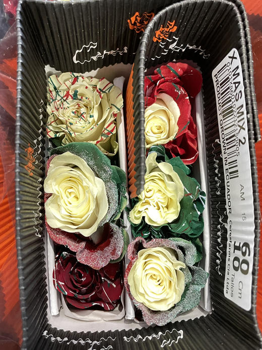 厄瓜多尔圣诞节限定染色混搭系列玫瑰花预售（12月20号左右发货） 商品图0