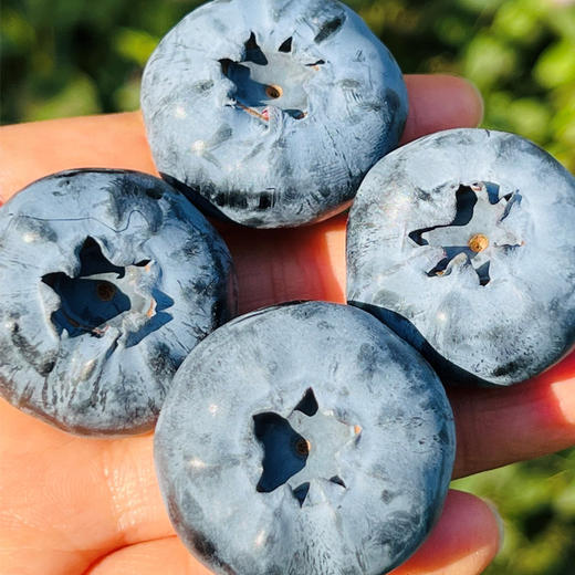 Driscoll’S宝石版至尊蓝莓王  |  一颗树上摘不到几颗，任谁看到口水 刷刷的，跟金桔差不多大小了，普通蓝莓跟他一起就是mini小可爱果粉还足足的，口感脆生生，绵糯糯，细滑滑，甜滋滋的~ 商品图4